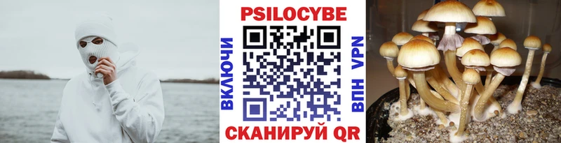 Псилоцибиновые грибы ЛСД  закладки  Грязовец 
